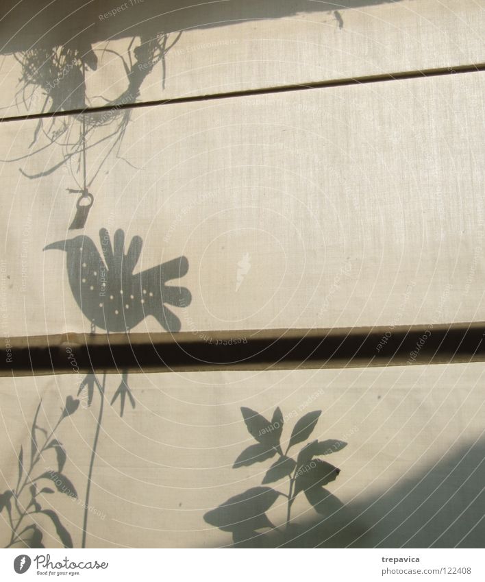 shadow Bird Window Plant Light Cloth Spring Shadow play Drape Jump Delicate Meadow Curtain Textiles Leaf Decoration Contrast Structures and shapes Rag Morning