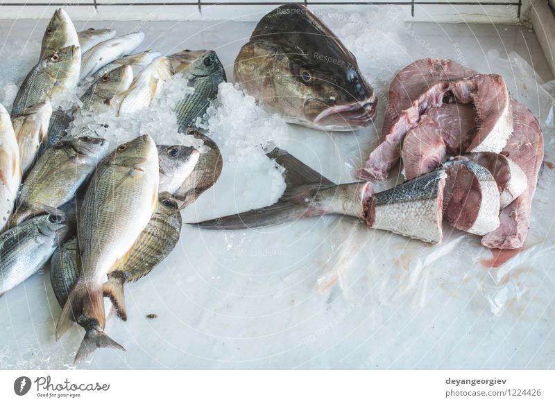 Fish on ice in the market Meat Seafood Shopping Ocean Industry Animal Sell Fresh Delicious fish bass Frozen healthy fishing Raw cold Storage catch silver