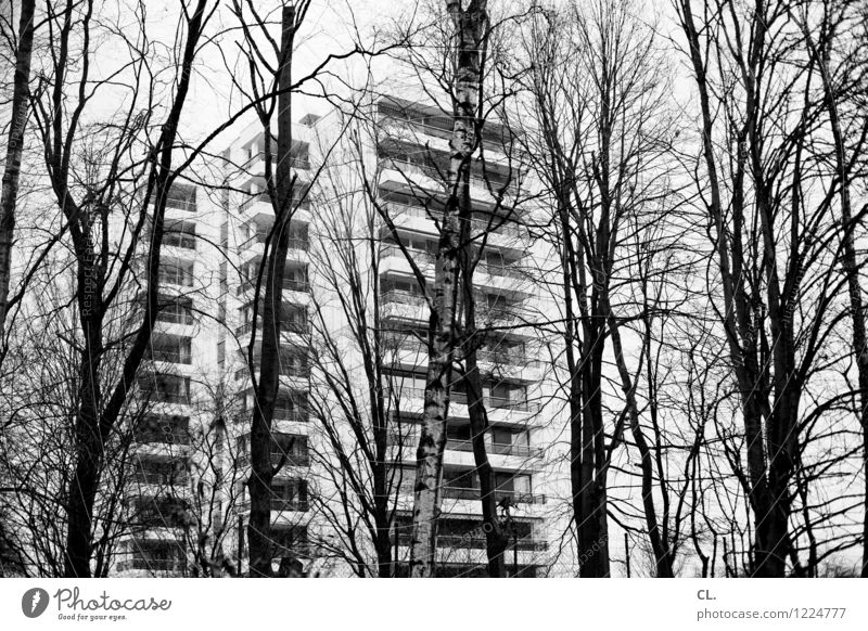 skyscraper behind trees Environment Nature Autumn Winter Tree Twigs and branches Town Outskirts House (Residential Structure) High-rise Facade Balcony Gloomy