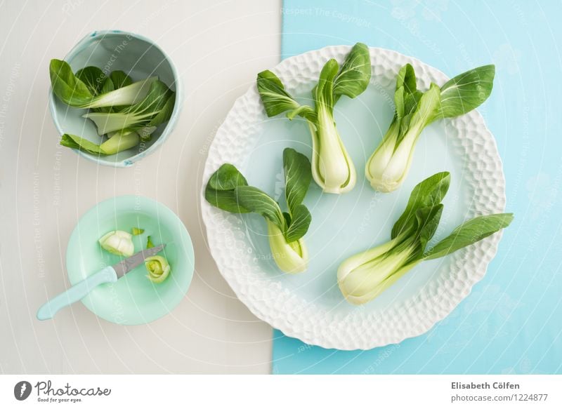 Pak Choi Food Vegetable Organic produce Vegetarian diet Plate Bowl Knives Healthy Eating Fresh Blue Green Turquoise To enjoy Pak choy Cabbage Pastel tone