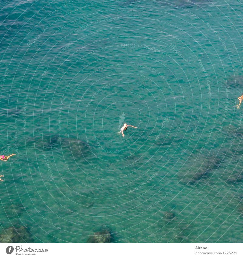 Man in the sea Tourism Summer vacation Ocean Aquatics Swimming & Bathing Human being Masculine Adults 1 45 - 60 years Elements Water Beautiful weather Turquoise