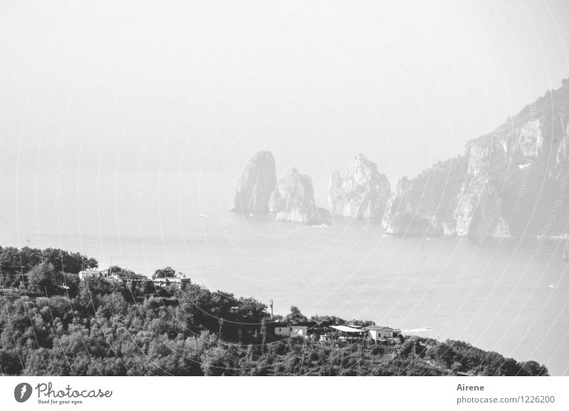 poor visibility Landscape Elements Air Water Fog Rock Coast Ocean Island Capri Cliff Far-off places Bright Black White Wanderlust Haze Black & white photo