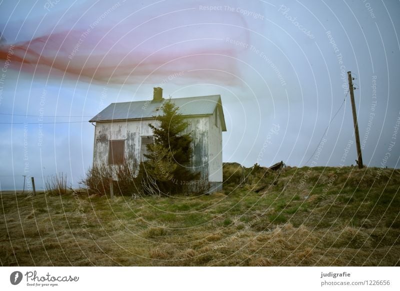 Iceland Environment Nature Landscape House (Residential Structure) Hut Ruin Movement Dance Exceptional Dark Natural Moody Loneliness Uniqueness Transience