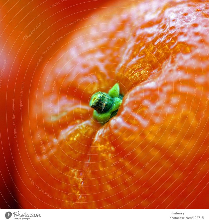 orange case Orange Orange juice Fresh Juice Vitamin Nutrition Meal Healthy Multicoloured Vegetarian diet Fruit Macro (Extreme close-up) Close-up fruits