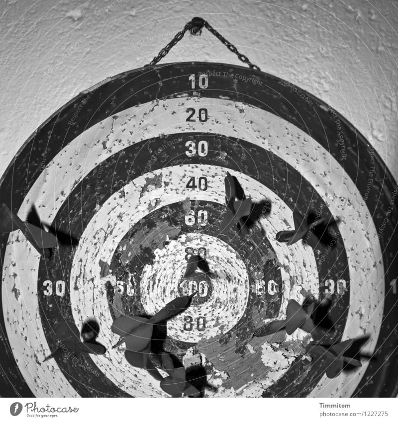 Childhood recollection. Arrow throw. Sports Darts Dartboard Wall (barrier) Wall (building) Digits and numbers Old Broken Gray Black White Emotions Memory Damage