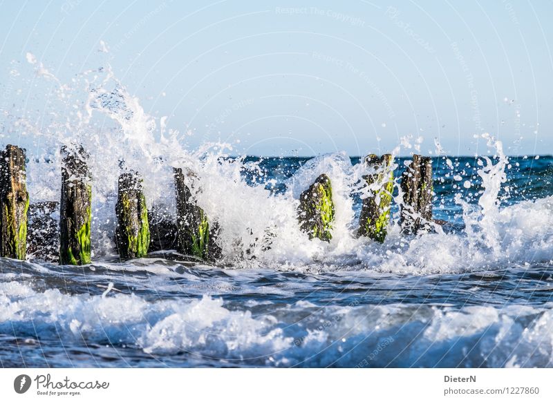 breakwater Beach Ocean Waves Landscape Water Horizon Beautiful weather Wind Gale Coast Baltic Sea Blue Green White Kühlungsborn Mecklenburg-Western Pomerania