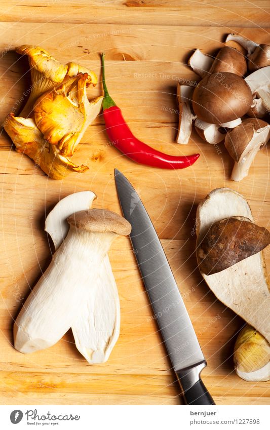 Autumn time, Mushroom time Vegetarian diet Diet Table Nature Wood Delicious Brown Knives Blade Edible Eating Gourmet Raw Natural Verdant Holiday season organic