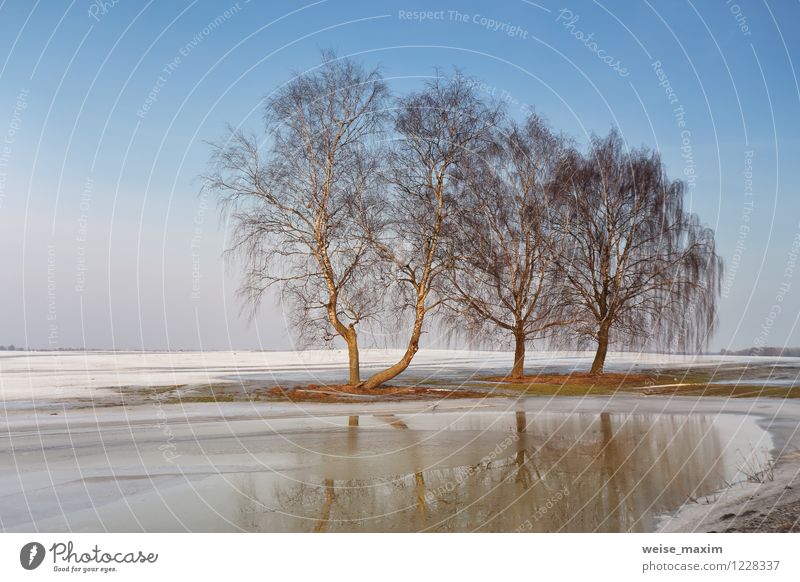 Early Spring near Minsk Environment Nature Landscape Elements Earth Sand Air Water Sky Cloudless sky Sunlight Climate Weather Beautiful weather Ice Frost Snow