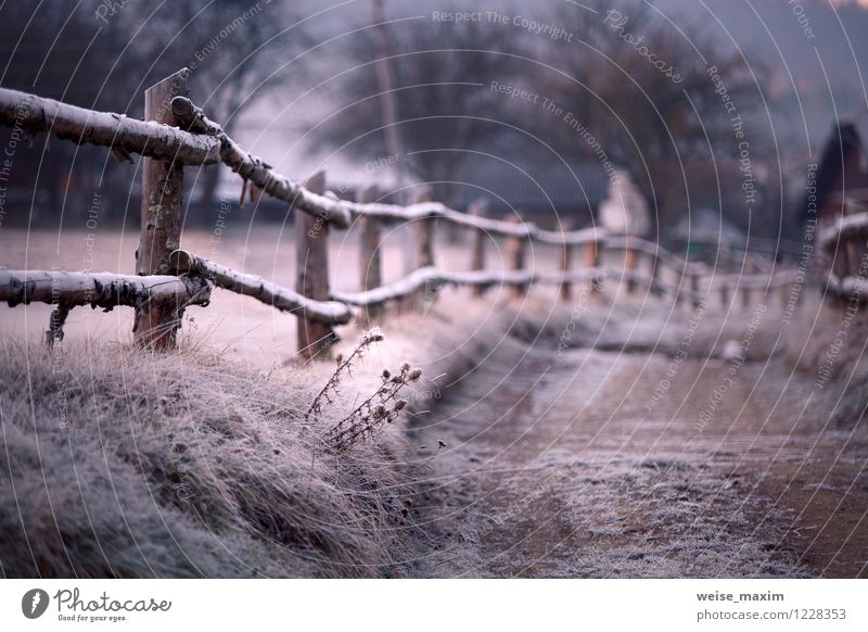 carpathian in details Nature Landscape Earth Sand Air Water Autumn Climate Weather Ice Frost Plant Tree Grass Bushes Leaf Garden Meadow Field Hill Mountain