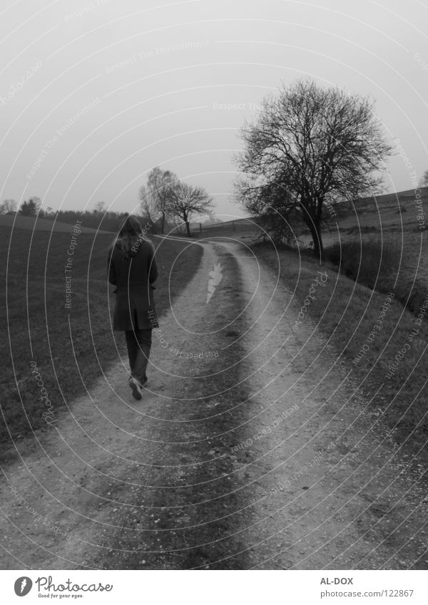 This way.......................................................... Autumn Future Cold Loneliness Grief Black & white photo Distress Lanes & trails Human being