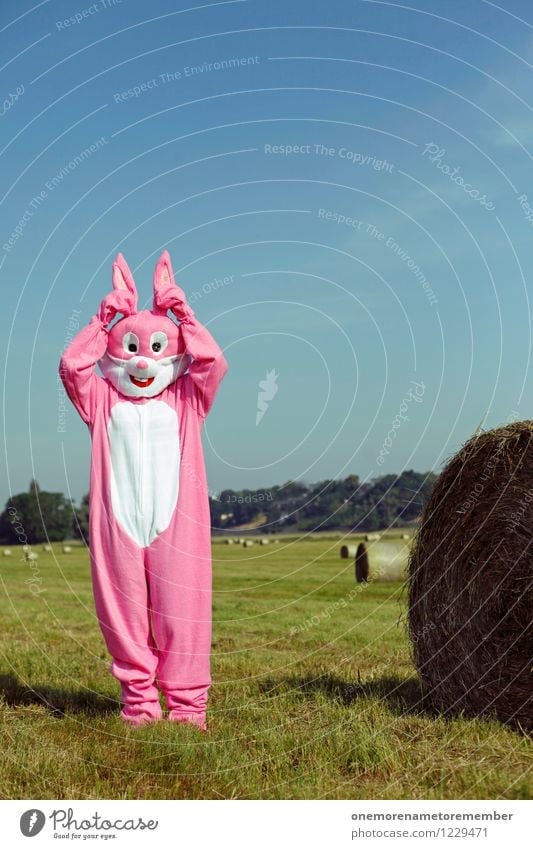 Did you... Art Work of art Esthetic Easter Hare & Rabbit & Bunny Hare ears Hare hunting Rabbit's foot Escape Fix Ready Pink Costume Carnival costume Meadow