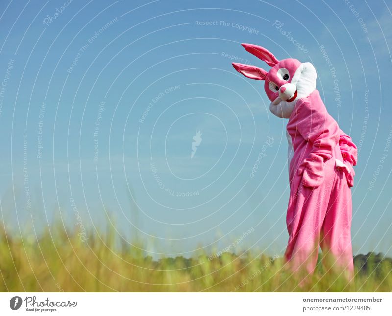 Down' - 'Set' - 'Hut' Art Work of art Adventure Esthetic Pink Hare & Rabbit & Bunny Hare ears Roasted hare Rabbit's foot Buck teeth Carnival costume Looking