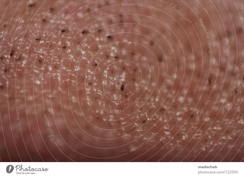 TIME TO MOW THE LAWN Stopper Facial hair Pink Skin color Anatomy Masculine Man Human being Macro (Extreme close-up) Near Abstract Structures and shapes Meat