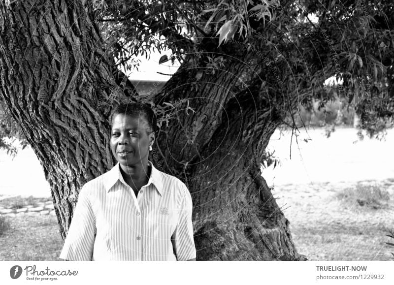 Black, beautiful, short-haired african woman with light peren earring stands smiling in a white shirt at a mighty old tree Style already Life Harmonious