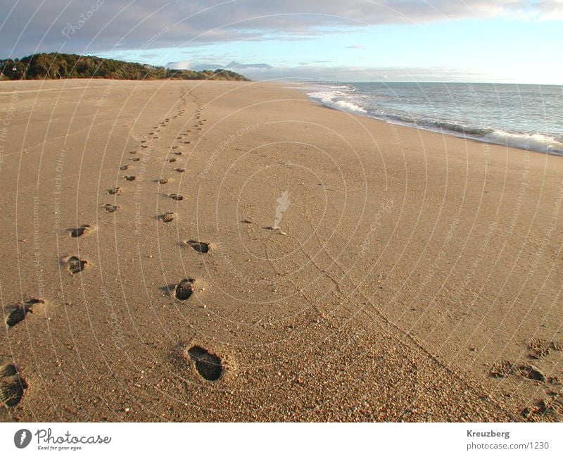 Traces in the sand New Zealand Beach Ocean Footprint Sunset Water Sand