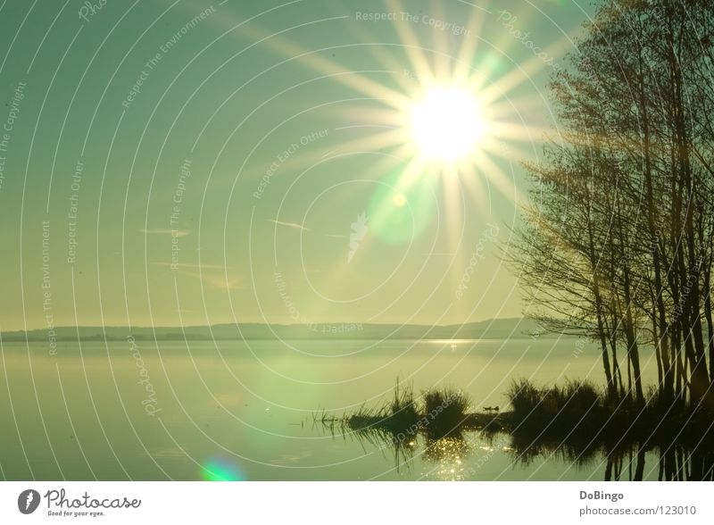 jet man Ocean Lake Steinhuder Lake Tree Calm Mirror Green Yellow Reflection Panorama (View) Fog Bad weather Sunbeam Autumn Water steinhude mardorf Coast Sky