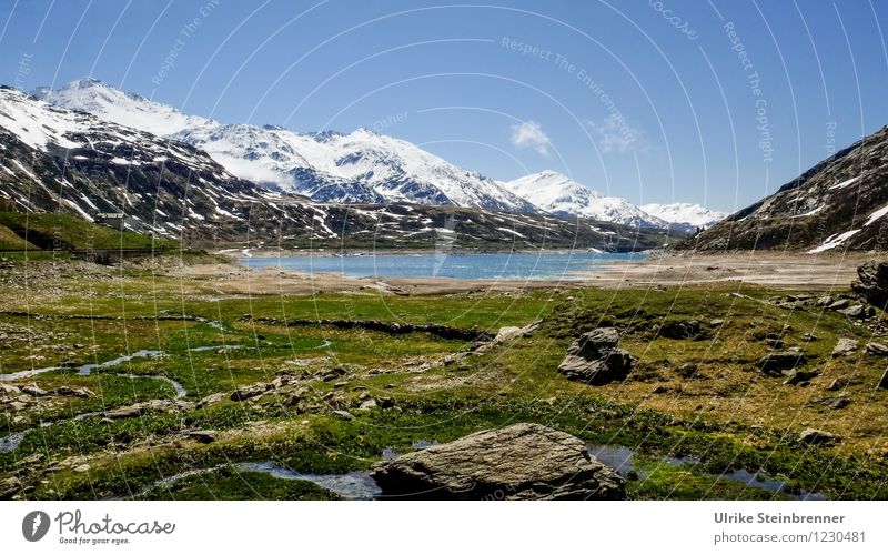 Passo dello Spluga Environment Nature Landscape Plant Earth Air Water Sky Spring Beautiful weather Grass Moss Rock Alps Mountain splügenpass Snowcapped peak