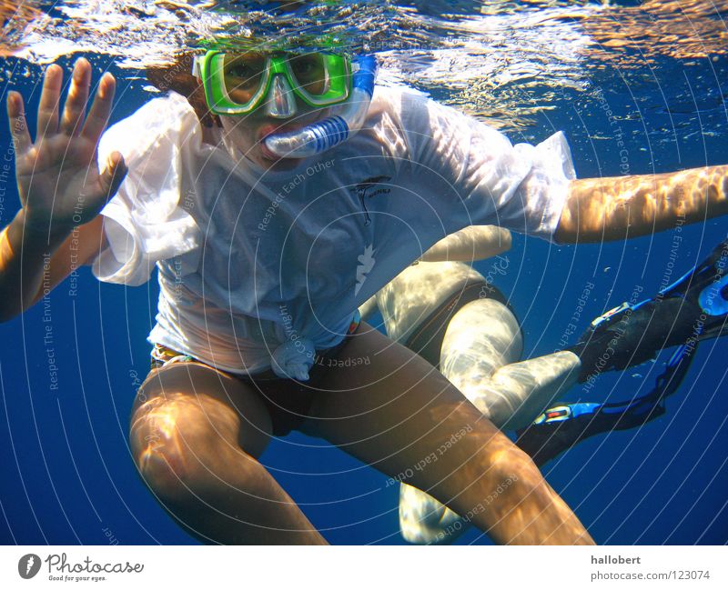 Hi, you! Ocean Reef Dive Snorkeling Maldives Water Aquatics Underwater photo dream vacation sea from below