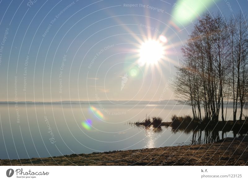 winter's day Winter Steinhuder Lake Sun Beach Water mardorf steinhude Coast Blue sky Reflection