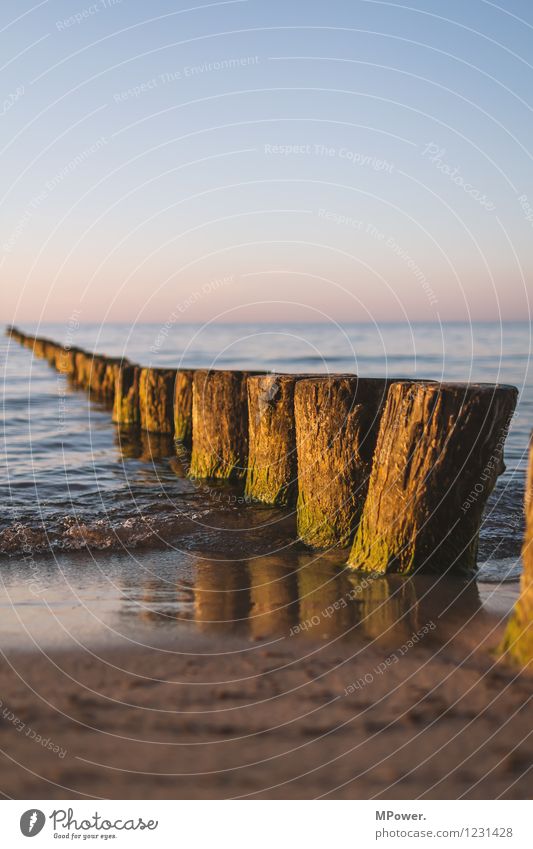 stage free Beautiful weather Waves Coast Bay Baltic Sea Blue Brown Ocean Beach Horizon Wood Break water Sunset Reflection Colour photo Exterior shot Deserted