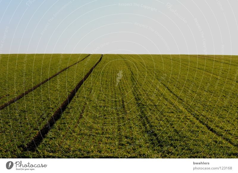 Field - Track Green Horizon Furrow Sowing Earth Sand Americas Sky Blue Far-off places Tracks Lanes & trails winter cereal