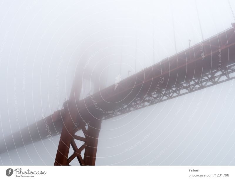 Hazy shady Golden Gate Bridge Vacation & Travel Tourism Trip Far-off places Sightseeing City trip Ocean Water Bad weather Wind Fog San Francisco bay USA