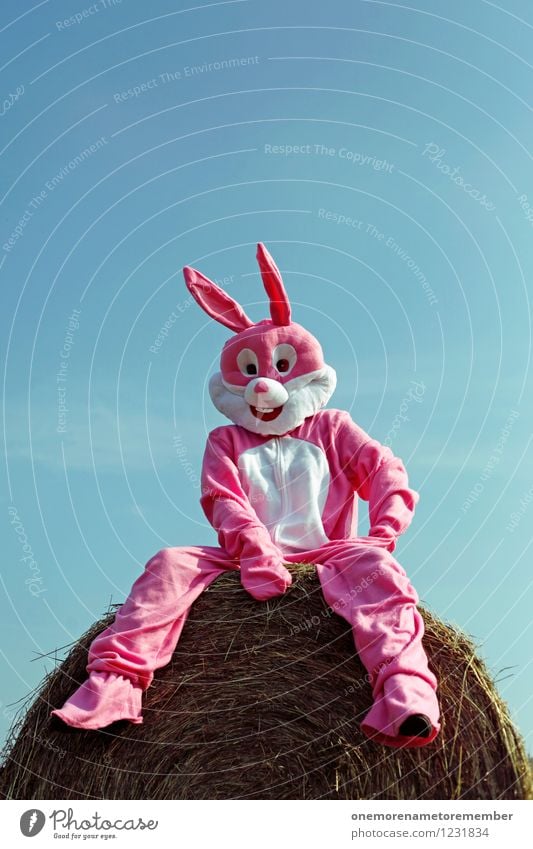 just chillin Art Work of art Esthetic Hare & Rabbit & Bunny Hare ears Hare hunting Roasted hare Buck teeth Rabbit's foot Sit Costume Relaxation Hay bale