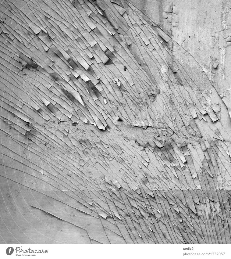 sea level Art Work of art Wood Decline Destruction Transience Ravages of time Flake off Dye Tracks Weathered Crack & Rip & Tear Part Splinter Shiver