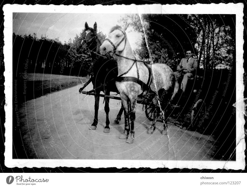 carless superclass Horse-drawn carriage Black White Village Carriage Wheels Transport Means of transport Highway Things no fine dust particles Old Scan