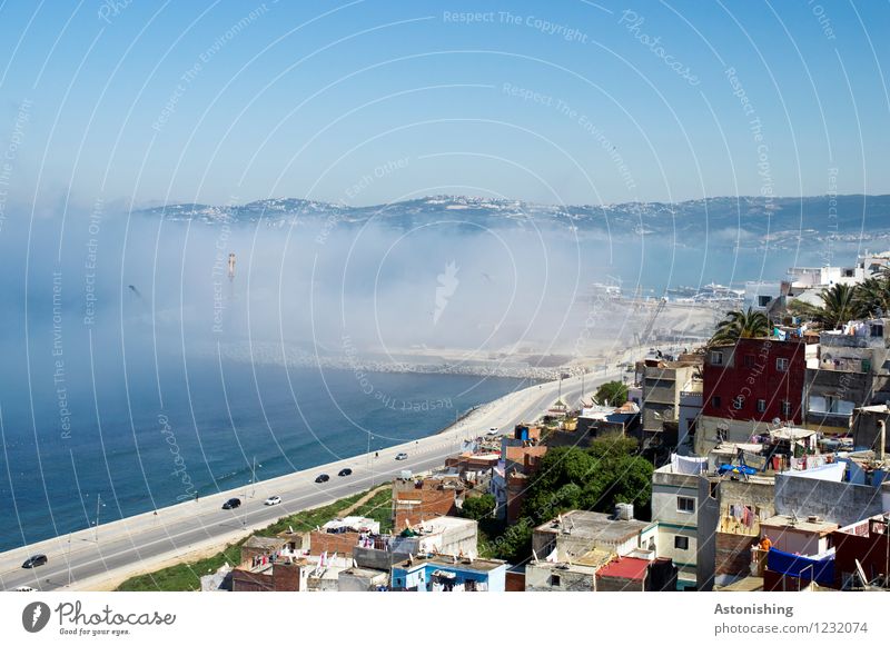 Fog Sea Environment Nature Landscape Air Water Sky Cloudless sky Summer Climate Weather Plant Tree Hill Waves Coast Ocean Mediterranean sea Tangiers Morocco