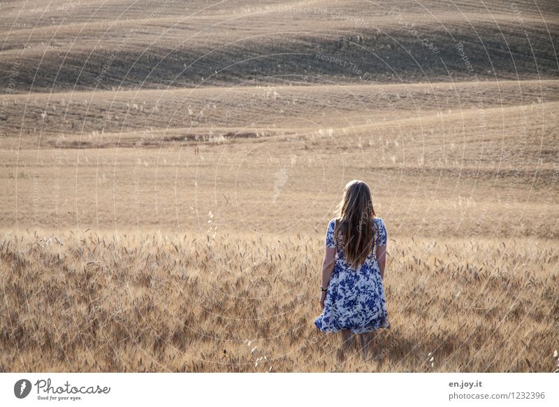 Romandic Feminine Young woman Youth (Young adults) Woman Adults 1 Human being 13 - 18 years Child 18 - 30 years Summer Field Hill Cornfield Italy Tuscany Dress