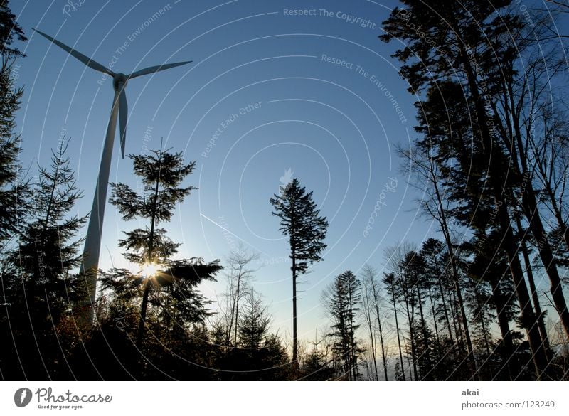 Wind power at Roßkopf 7 Sky Coniferous trees Forest Sky blue Geometry Deciduous tree Perspective Coniferous forest Glade Paradise Clearing Wind energy plant