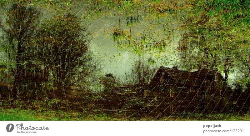 Impressionist meadow painting Meadow House (Residential Structure) Tree Grass Wet Marsh Bog Blade of grass Cold Water Image Painting (action, work) High tide