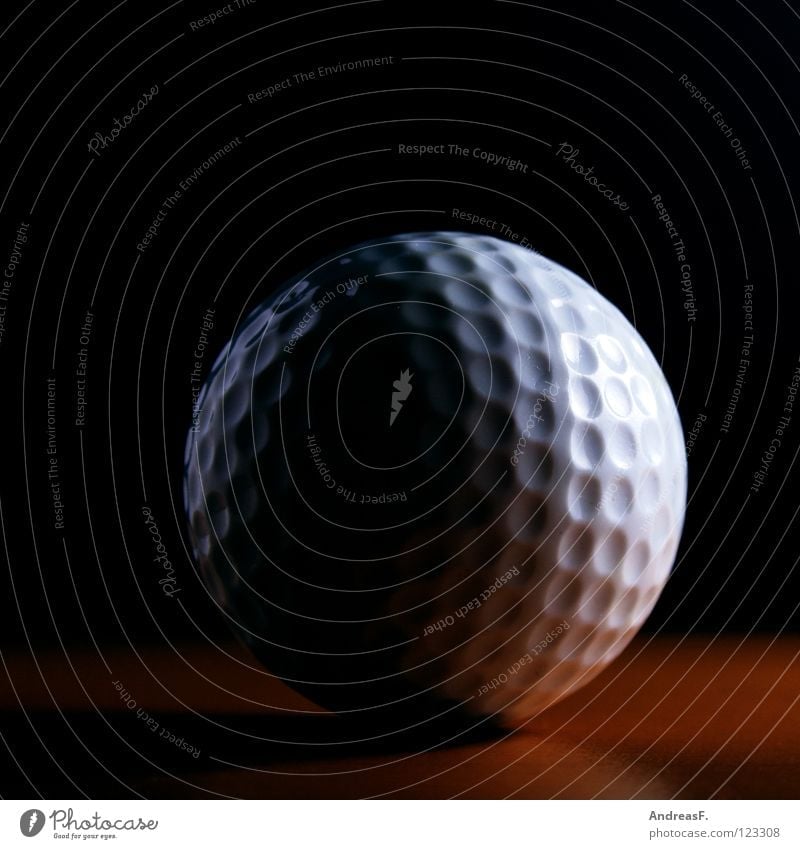 Hole in one Golf ball Millionaire Golf course Mini golf Practice Burl Half moon Full  moon Playing Leisure and hobbies Golfer Hard Orange peel Sports