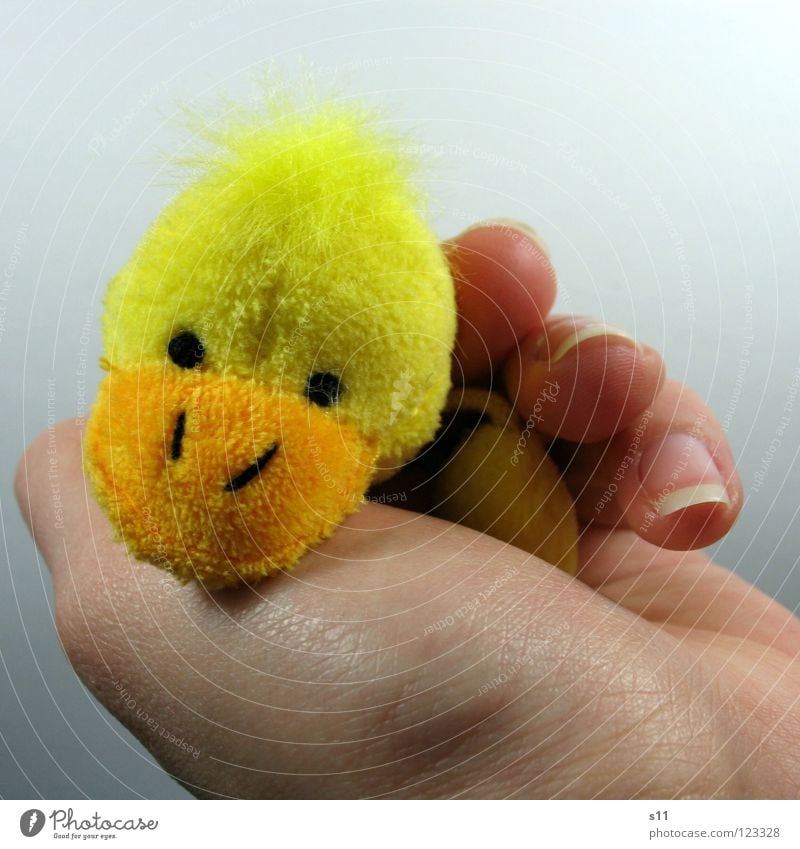 Duck shoot. Tired. Joy Hair and hairstyles Playing Children's room Infancy Hand Fingers Punk Toys Cuddly toy Lie Sleep Funny Yellow Safety (feeling of) Fatigue