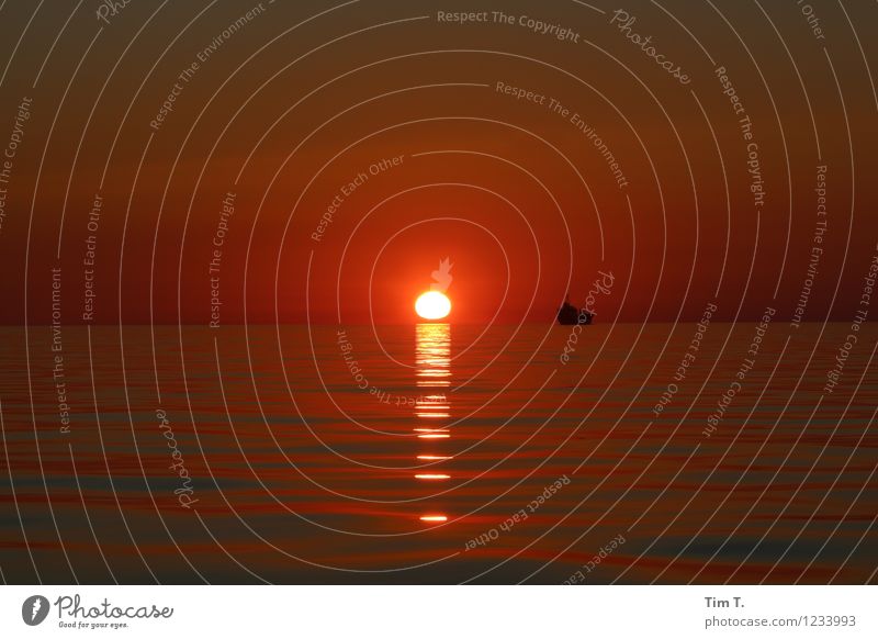 nothing Sun Sunrise Sunset Baltic Sea Ocean Kitsch Navigation Dusk Watercraft Colour photo Exterior shot Deserted Evening Twilight Light Contrast Silhouette