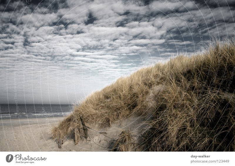 Coast to Coast Beach Ocean Lake Grass Clouds Mud flats Access Cloud cover Dark Light Waves Surf Earth Sand Beach dune vein Sky Nature Lanes & trails Island