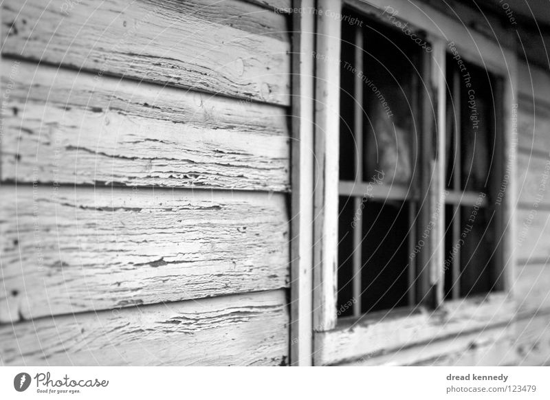 woodshed Black & white photo Exterior shot Detail Structures and shapes Copy Space left Day Central perspective Looking House (Residential Structure) Deserted