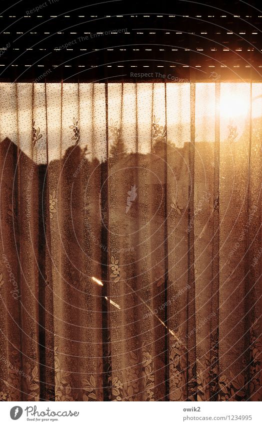 Bedroom window House (Residential Structure) Window Venetian blinds Shutter Curtain Street Illuminate Village idyll Colour photo Subdued colour Deserted