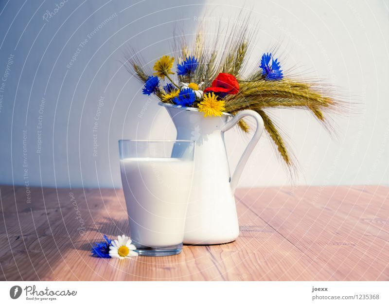Tired Men Milk Healthy Eating Flower Wood Beautiful Uniqueness Nostalgia Frosted glass Decanter Grain Still Life Colour photo Multicoloured Deserted Day Shadow