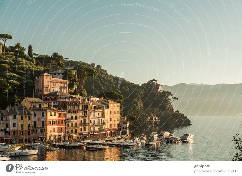 Portofino Vacation & Travel Landscape Water Cloudless sky Sunrise Sunset Sunlight Summer Hill Coast Bay Ocean Idyll Joie de vivre (Vitality) Ease Luxury Tourism