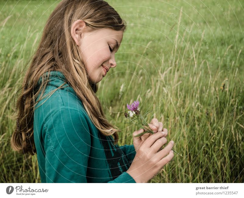 Flower girl on the meadow Human being Feminine Child Girl Sister Infancy Head Hair and hairstyles Face 1 8 - 13 years Environment Nature Landscape Animal Summer