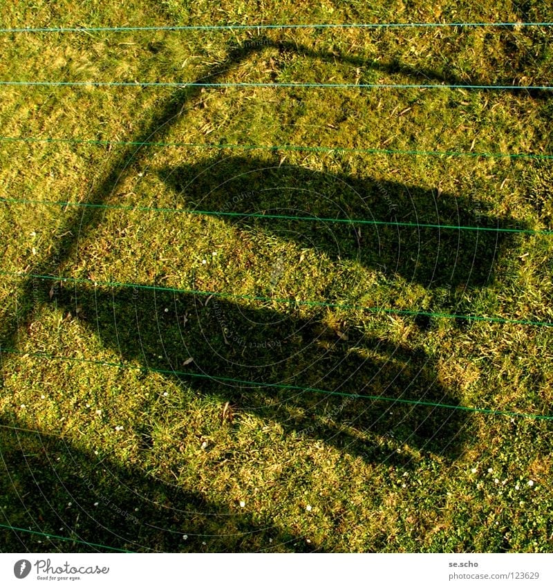 "Hanged" Meadow Green Hang up Laundry Grass Jacket Household Rope Shadow Sun View from the window View from a window