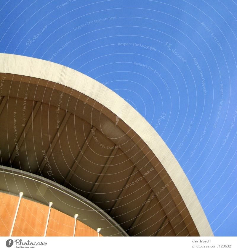 oyster Roof Concrete Fine Art Berlin zoo Detail Culture House of World Cultures Sky Blue Schwangere Auster Section of image Partially visible Concrete roof