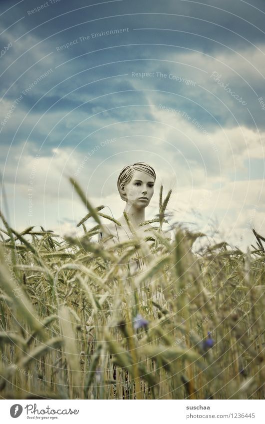 she looked .. Sky Clouds Field Wheat Ear of corn Summer Face Head Mannequin Mysterious