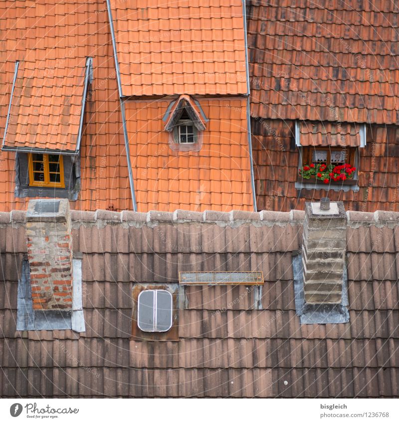 Quedlinburg III quedlinburg Federal eagle Europe Town Old town House (Residential Structure) Building Architecture Window Roof Chimney Red Roofing tile