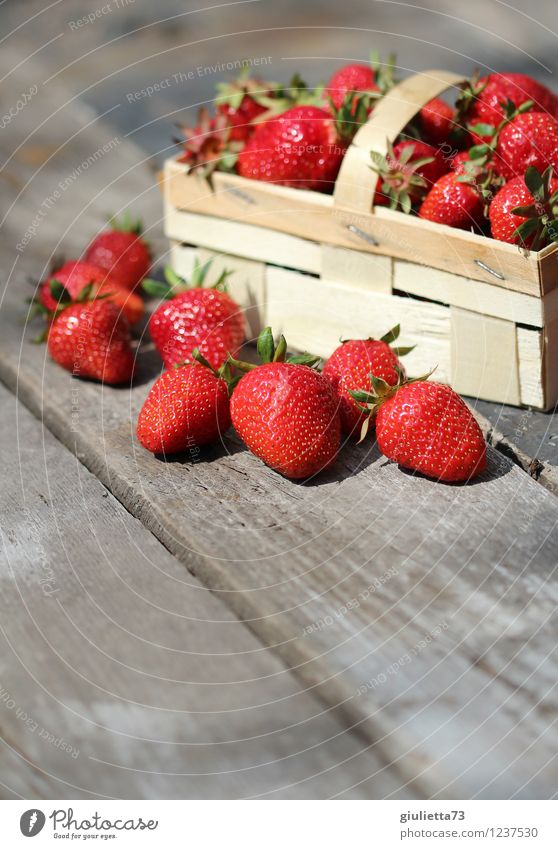 Summertime is strawberry time! Food Nutrition Organic produce Vegetarian diet Garden Nature Beautiful weather To enjoy Fresh Healthy Delicious Juicy Red Happy