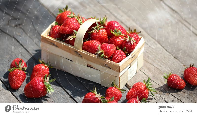strawberry basket Food Nutrition Organic produce Vegetarian diet Garden Nature Summer Beautiful weather Fresh Healthy Delicious Juicy Red Contentment
