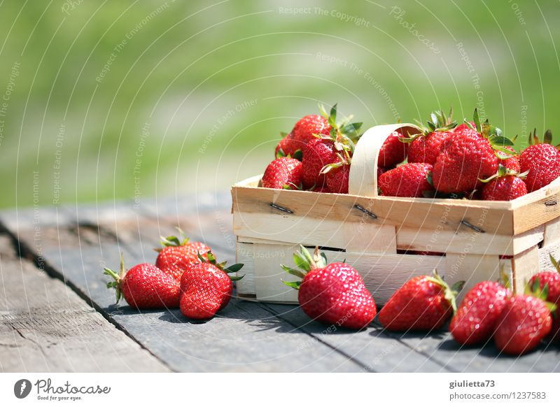 ...perfect for the summer figure Food Fruit Strawberry Nutrition Organic produce Vegetarian diet Garden Nature Summer Beautiful weather Fresh Healthy Delicious