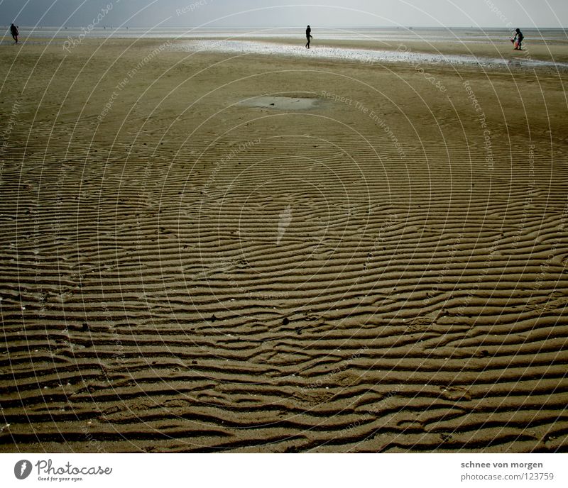 watermark Waves Beach Low tide Ocean Calm Sand Mud flats Water mare sea Human being Far-off places Sky